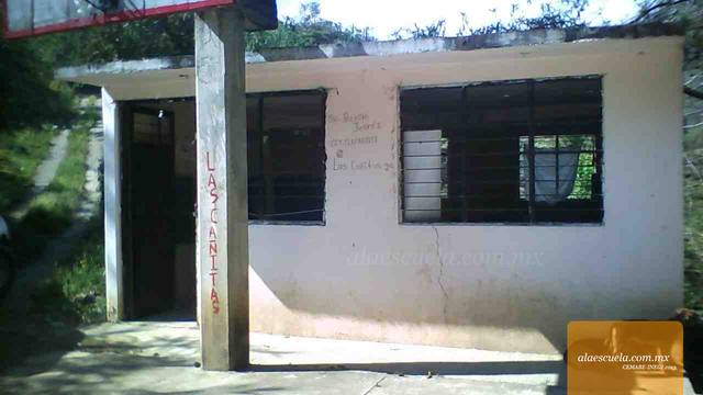 Entrada (vista previa)