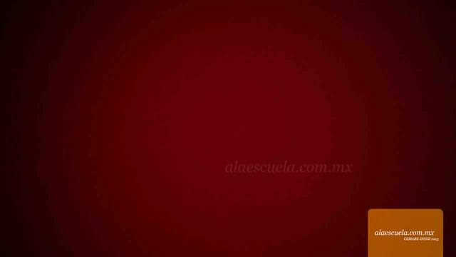 Entrada (vista previa)