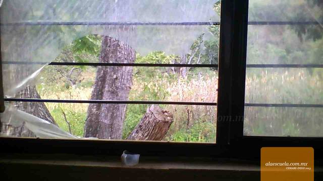 Aulas (vista previa)