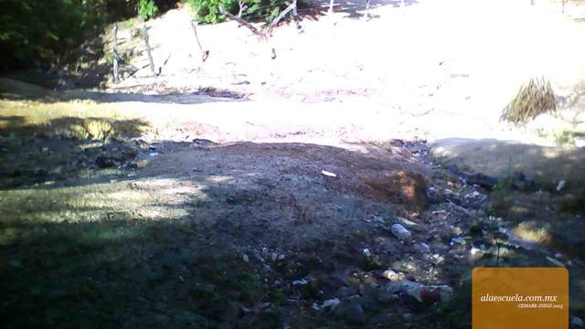 Áreas (vista previa)