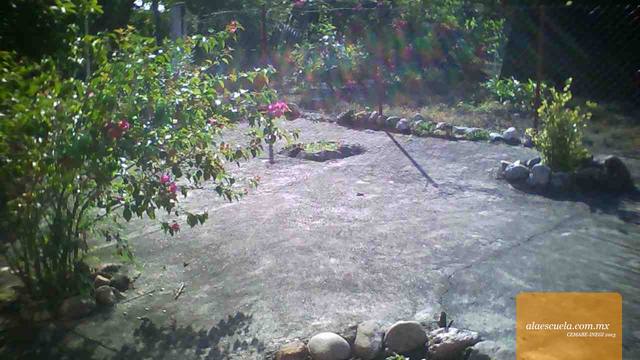 Áreas (vista previa)