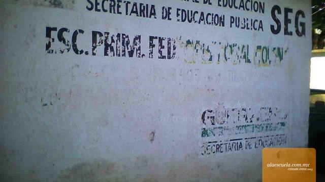 Entrada (vista previa)