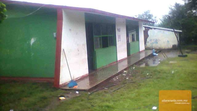 Entrada (vista previa)