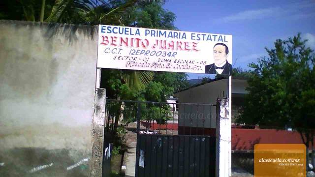 Entrada (vista previa)