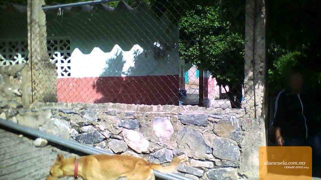 Entrada (vista previa)