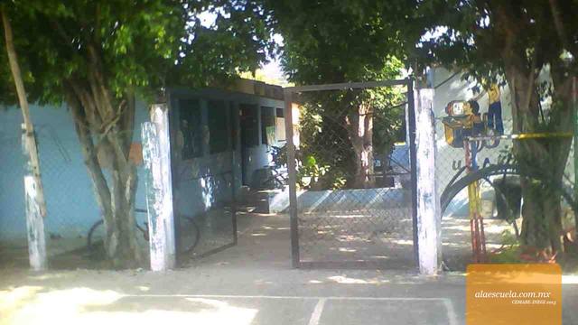 Entrada (vista previa)