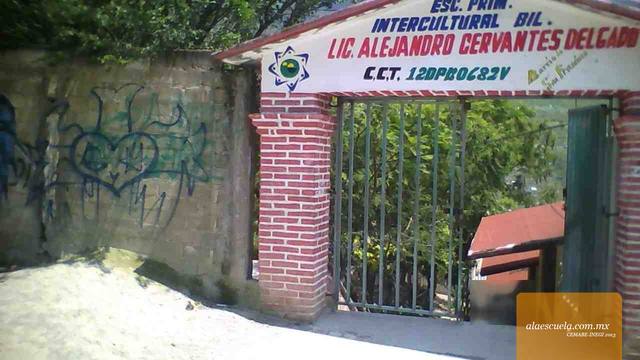 Entrada (vista previa)