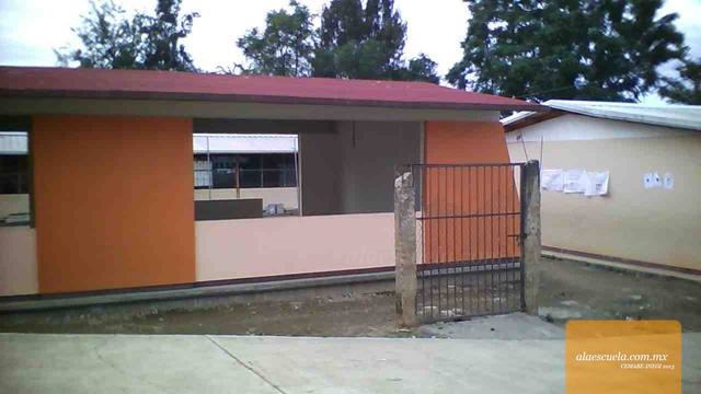 Entrada (vista previa)