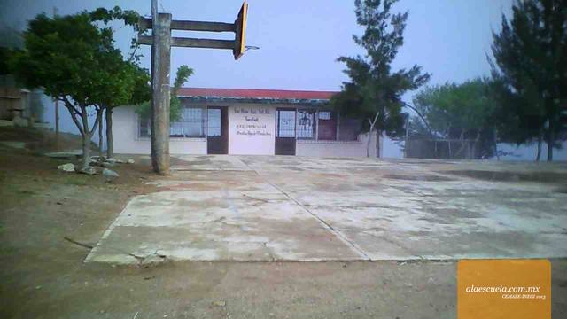 Entrada (vista previa)