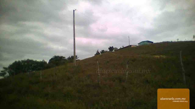 Entrada (vista previa)