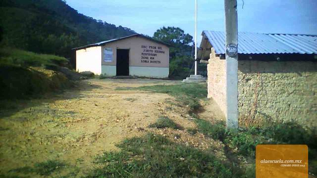 Entrada (vista previa)