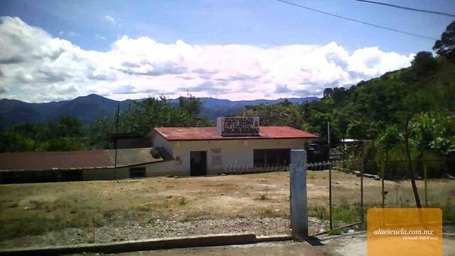 Entrada (vista previa)