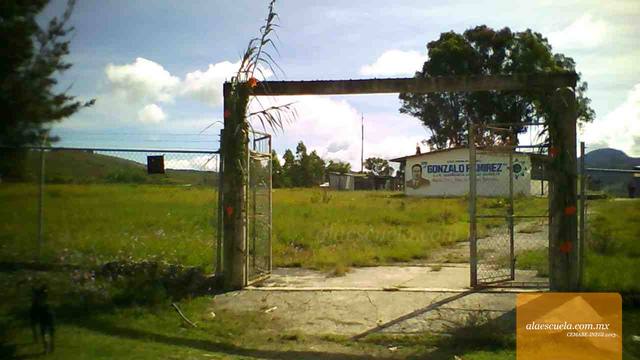 Entrada (vista previa)