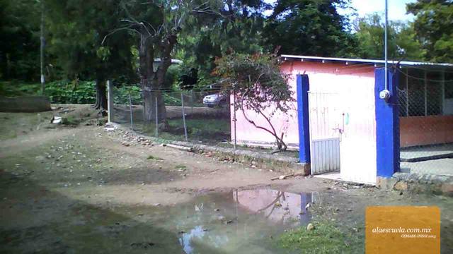 Entrada (vista previa)