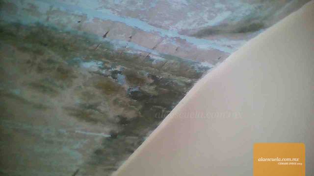 Aulas (vista previa)