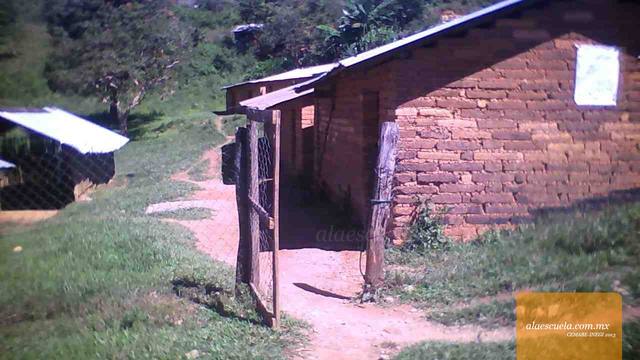 Entrada (vista previa)