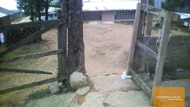 Entrada (vista previa)