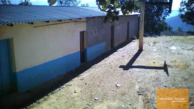 Entrada (vista previa)