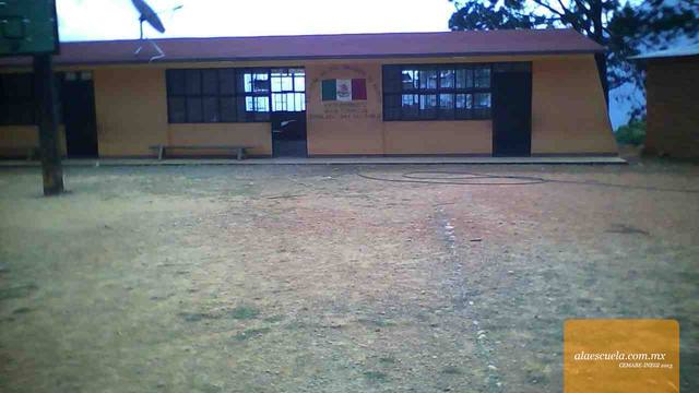 Entrada (vista previa)