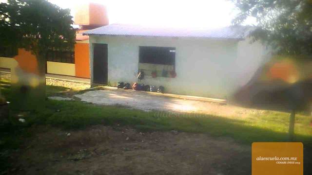 Entrada (vista previa)