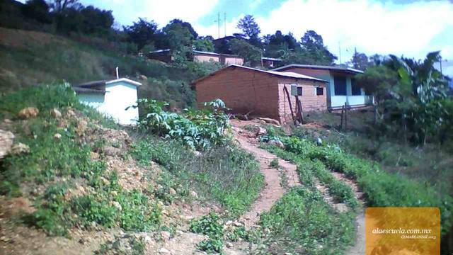 Entrada (vista previa)