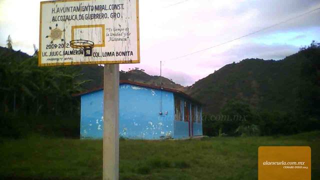 Entrada (vista previa)