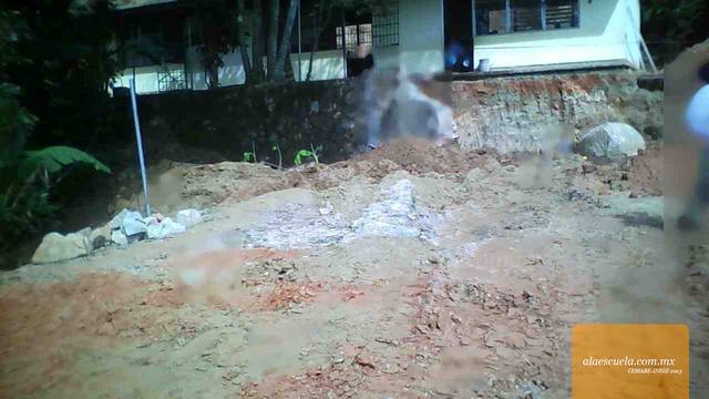 Entrada (vista previa)