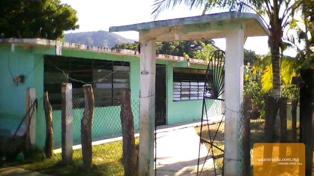 Entrada (vista previa)