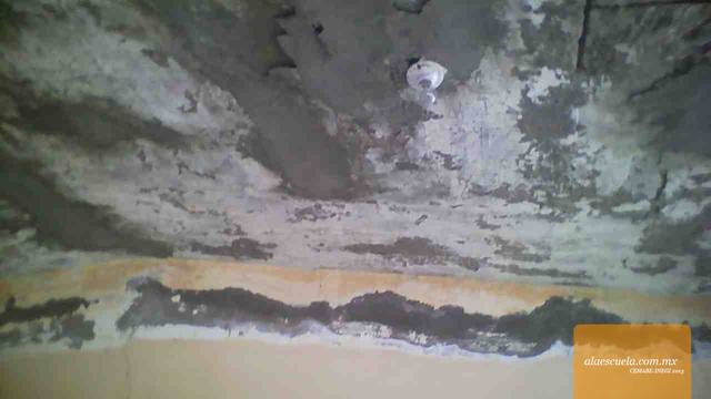 Aulas (vista previa)