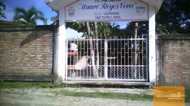 Entrada (vista previa)