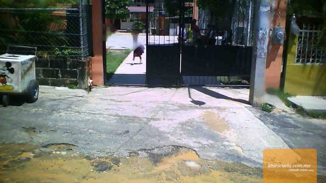 Entrada (vista previa)