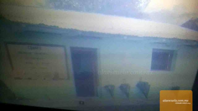 Entrada (vista previa)