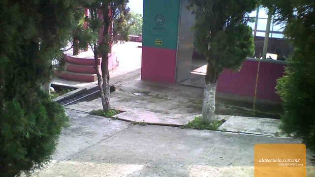 Entrada (vista previa)