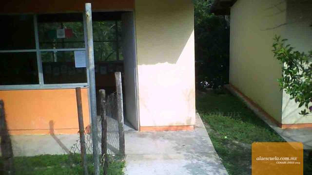 Entrada (vista previa)