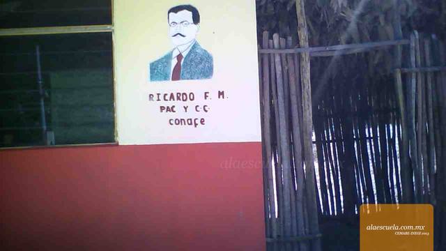 Entrada (vista previa)