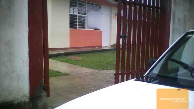 Entrada (vista previa)