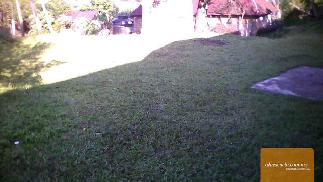 Áreas (vista previa)