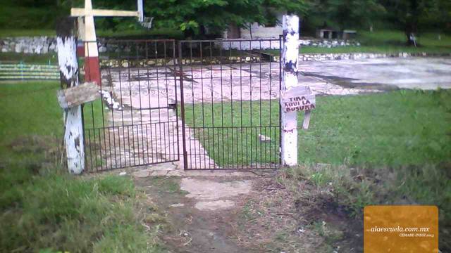 Entrada (vista previa)