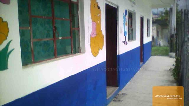 Entrada (vista previa)