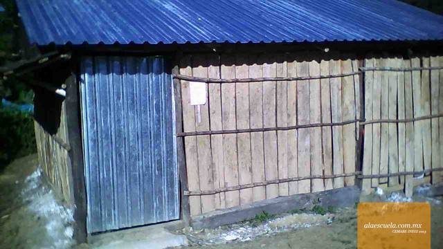 Entrada (vista previa)