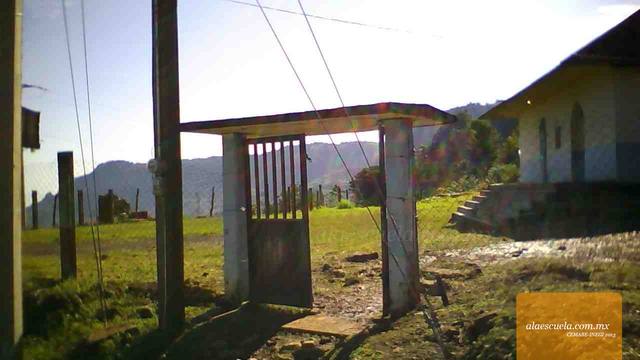 Entrada (vista previa)