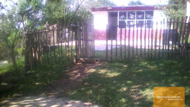 Entrada (vista previa)