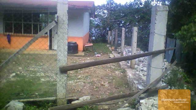 Entrada (vista previa)