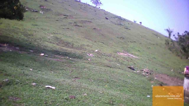 Áreas (vista previa)