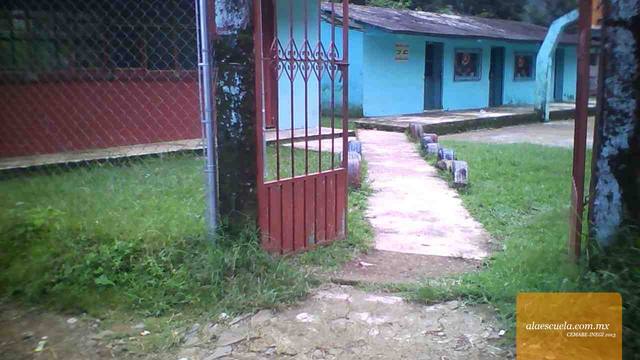 Entrada (vista previa)