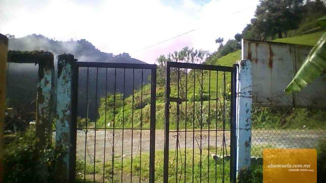 Entrada (vista previa)