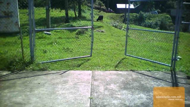 Entrada (vista previa)