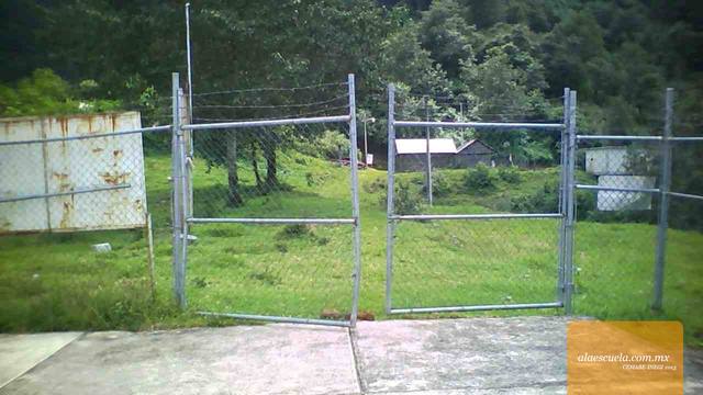 Entrada (vista previa)