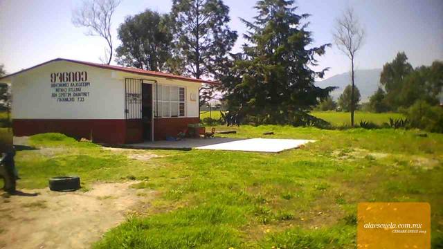 Entrada (vista previa)