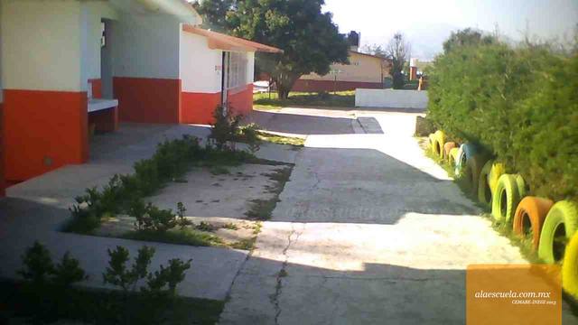 Entrada (vista previa)